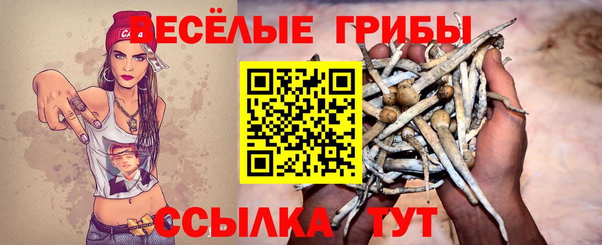 Галлюциногенные грибы мухоморы Электросталь
