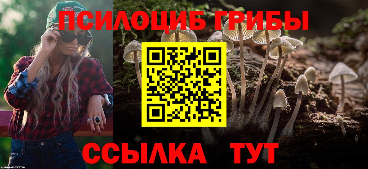 Галлюциногенные грибы Cubensis  Вход с VPN  Псилоцибиновые грибы ЛСД  Электросталь 